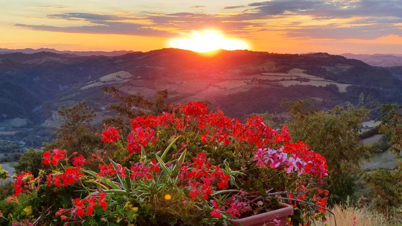 B&B Marcantonio Country House Sogliano al Rubicone 외부 사진